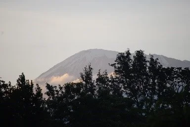 mandara2